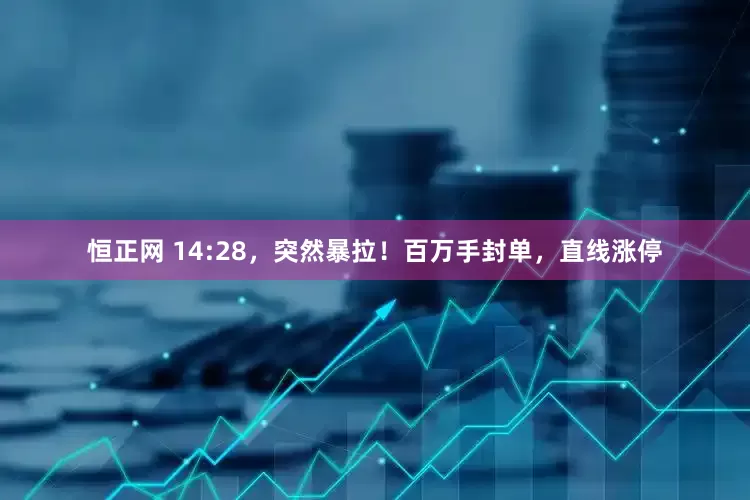 恒正网 14:28，突然暴拉！百万手封单，直线涨停